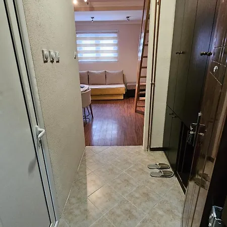 202 公寓 科帕奥尼克